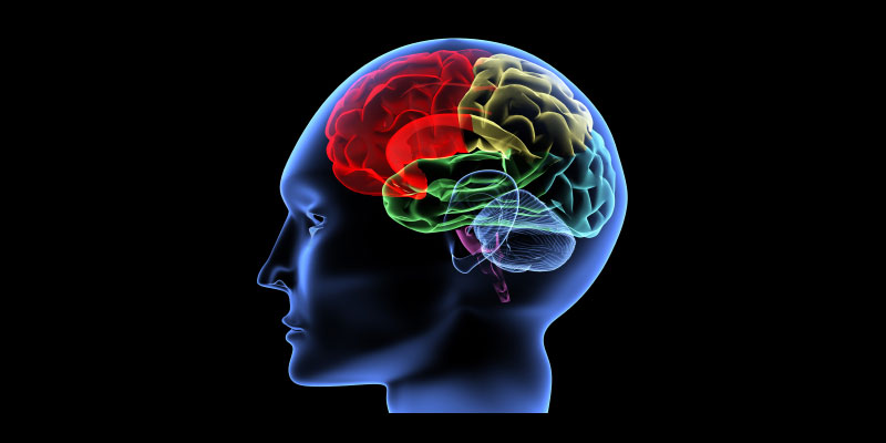 NCART-Blog-Understanding-Traumatic-Brain-Injury